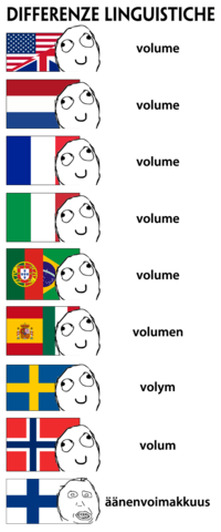 Differenze Linguistiche