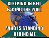 Paranoid Parrot