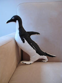 Socially Awkward Penguin