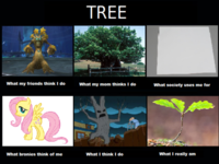 What People Think I Do / What I Really Do