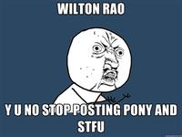 +Wilton Rao