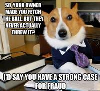 Lawyer Dog