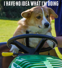 I Have No Idea What I'm Doing