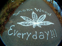 Smoke Weed Everyday