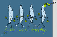 Smoke Weed Everyday