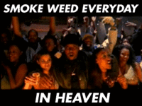 Smoke Weed Everyday