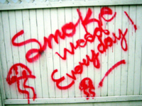 Smoke Weed Everyday
