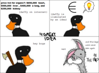 Dolan