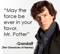 Troll Quotes
