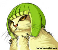 Limecat