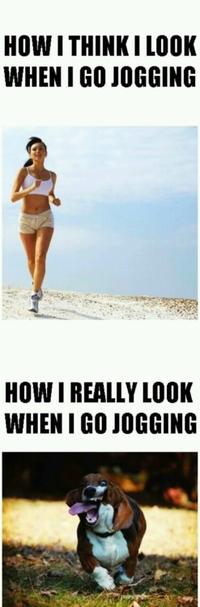 What You Think You Look Like vs. What You Actually Look Like