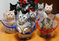 If It Fits I Sits
