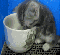 If It Fits I Sits