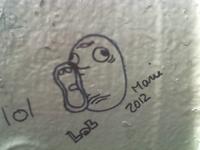 LOL Guy