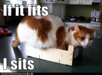 If It Fits I Sits
