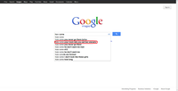 Google Search Box Suggestions 