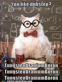 Chemistry Cat