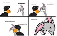 Dolan