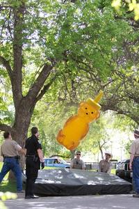 Falling Bear