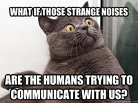 Conspiracy Keanu