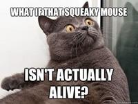 Conspiracy Keanu