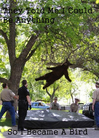 Falling Bear