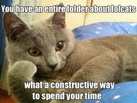 Willy Wonkat