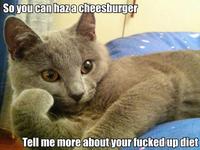 Willy Wonkat