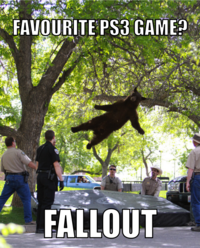 Falling Bear