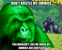 That Really Rustled My Jimmies