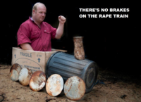 The Rape Train