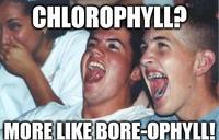 Immature High Schoolers