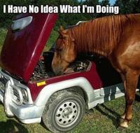 I Have No Idea What I'm Doing
