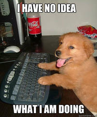 I Have No Idea What I'm Doing