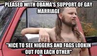 Almost Politically Correct Redneck