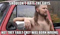 Almost Politically Correct Redneck