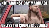 Almost Politically Correct Redneck