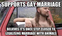 Almost Politically Correct Redneck