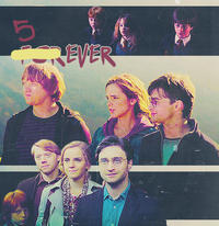 5ever
