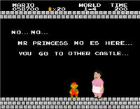 But Our Princess is in Another Castle!