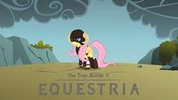 Ponification