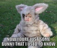 Somebody That I Used To Know