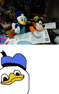 Dolan
