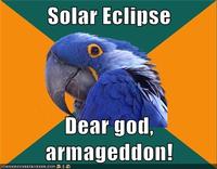 Paranoid Parrot