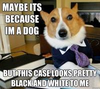 Dogs