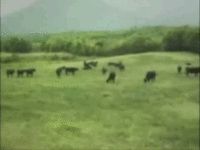 I Must Go