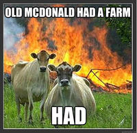 Evil Cows
