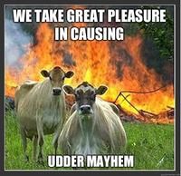 Evil Cows