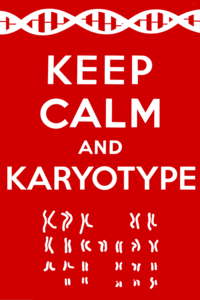 Keep Calm and Carry On