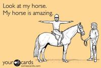 Amazing Horse